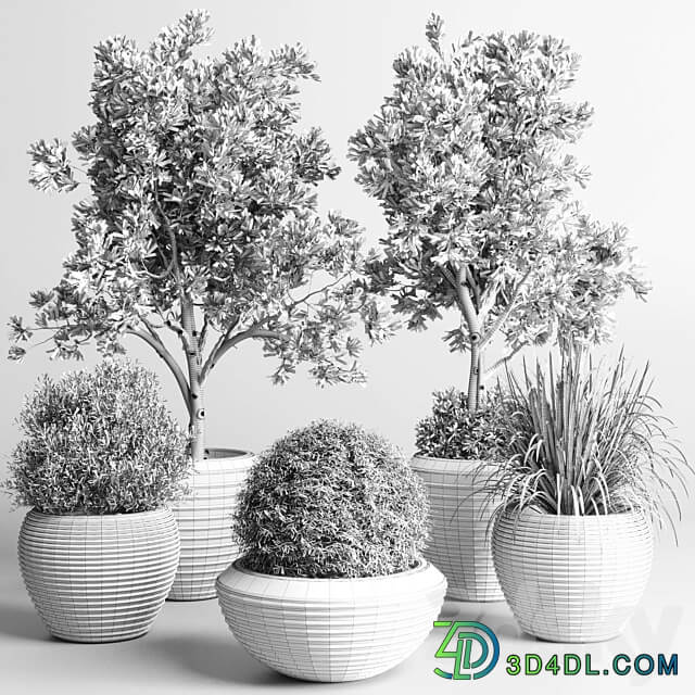 Collection indoor outdoor plant 120 plant tree grass vase dirty concrete 3D Models