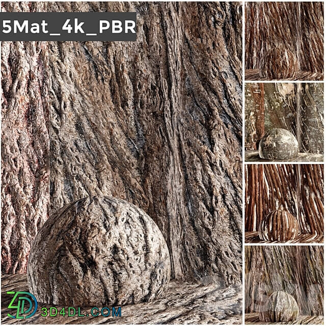 set 5 bark PBR materials 006 arc 3D Models