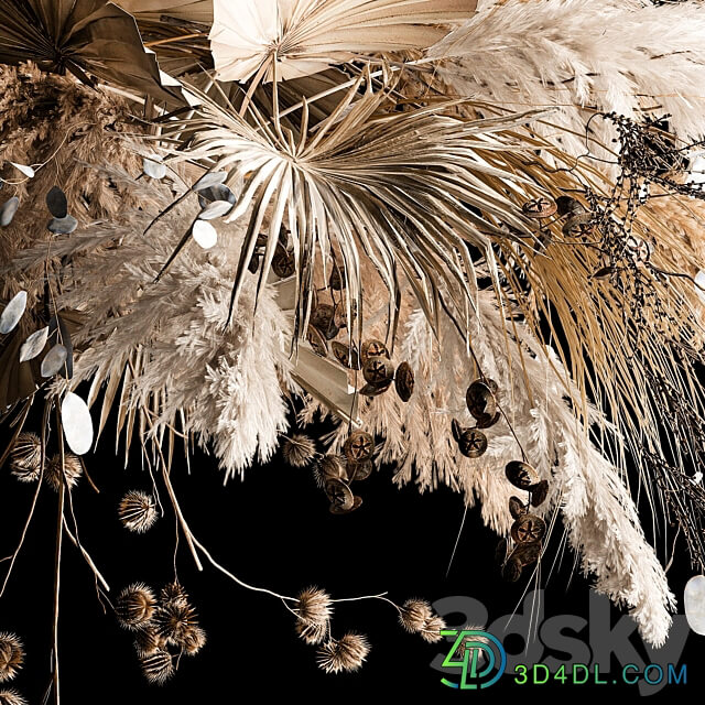 Suspended bouquet of dried flowers palm tree branch pampas grass dry reeds moonwort thorn for decor and interior 270. 3D Models