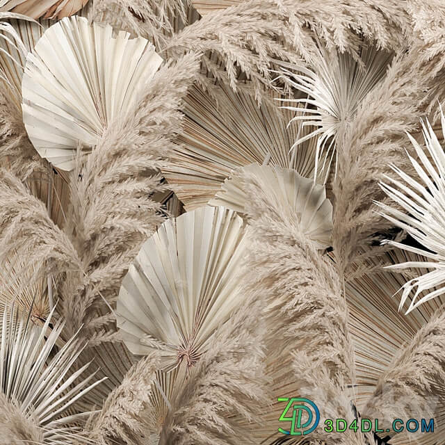 Phytostena of dried flowers, pampas grass, dry palm branches, leaves, Cortaderia and reeds. 274.