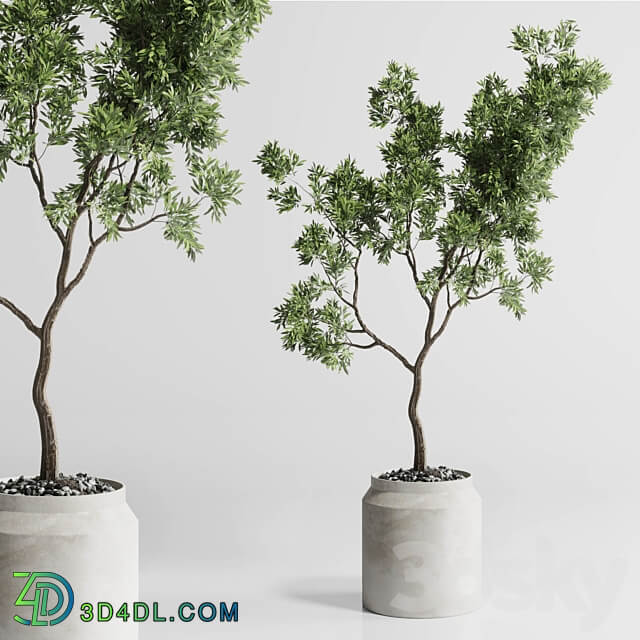 Indoor plant 285 concrete dirt vase plant tree pot 3D Models