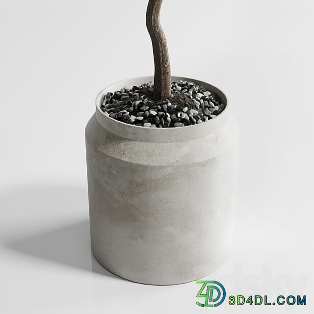 Indoor plant 285 concrete dirt vase plant tree pot 3D Models