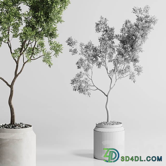 Indoor plant 285 concrete dirt vase plant tree pot 3D Models