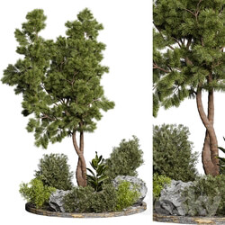 Outdoor Plant 67 3D Models 