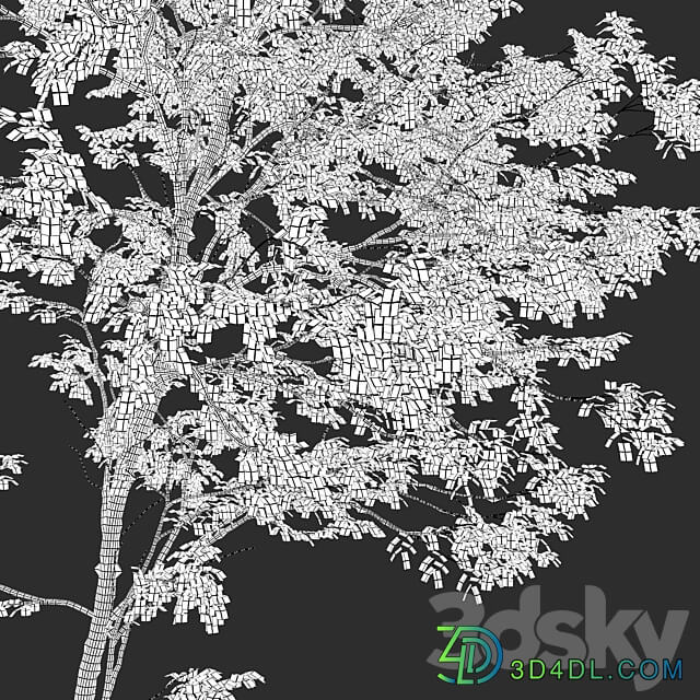 Autumn forest trees 3D Models