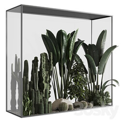 Plants behind glass 3D Models 