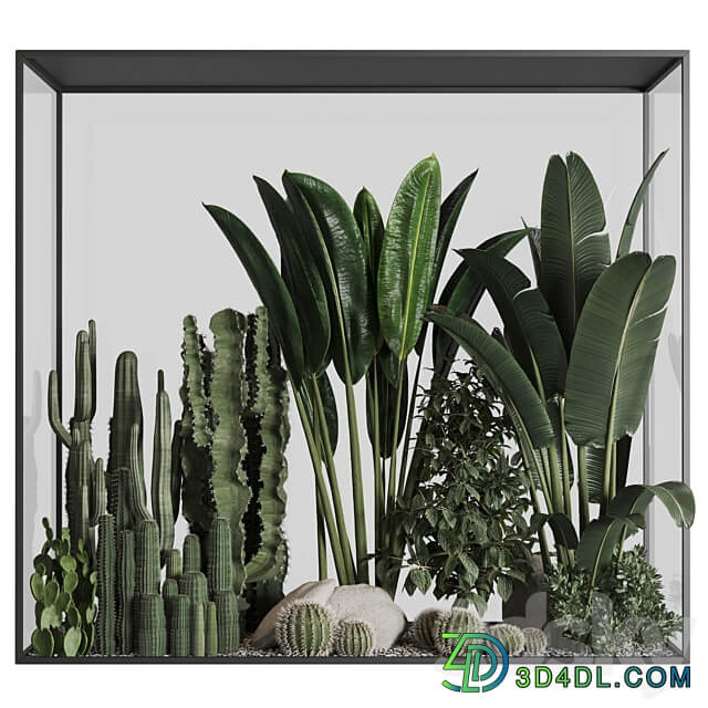 Plants behind glass 3D Models