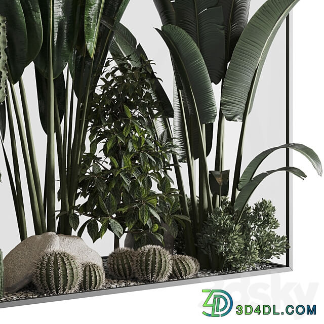 Plants behind glass 3D Models
