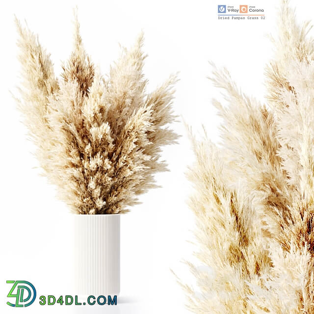 Dried Pampas Grass 02 3D Models