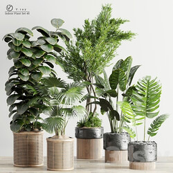 Indoor Plants in Ferm Living Bau Pot Large Set 45 3D Models 