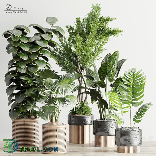 Indoor Plants in Ferm Living Bau Pot Large Set 45 3D Models