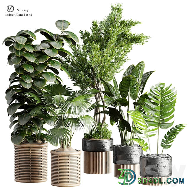 Indoor Plants in Ferm Living Bau Pot Large Set 45 3D Models