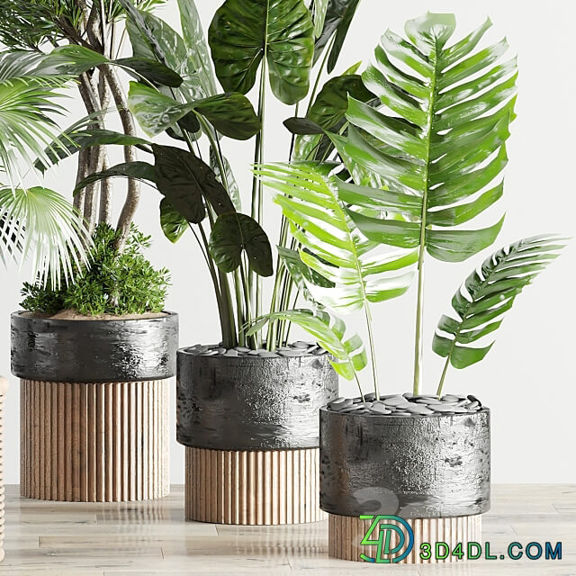 Indoor Plants in Ferm Living Bau Pot Large Set 45 3D Models