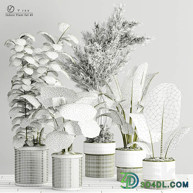 Indoor Plants in Ferm Living Bau Pot Large Set 45 3D Models