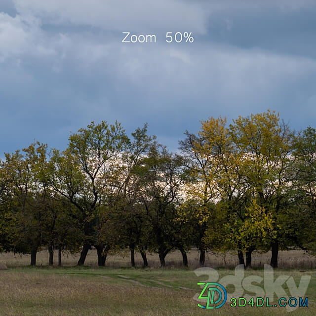 Cloudy panorama with autumn trees. 2 pcs 3D Models