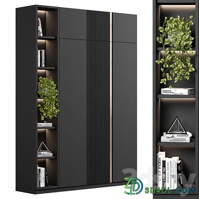 Cabinet with shelves 51 Wardrobe Display cabinets 3D Models