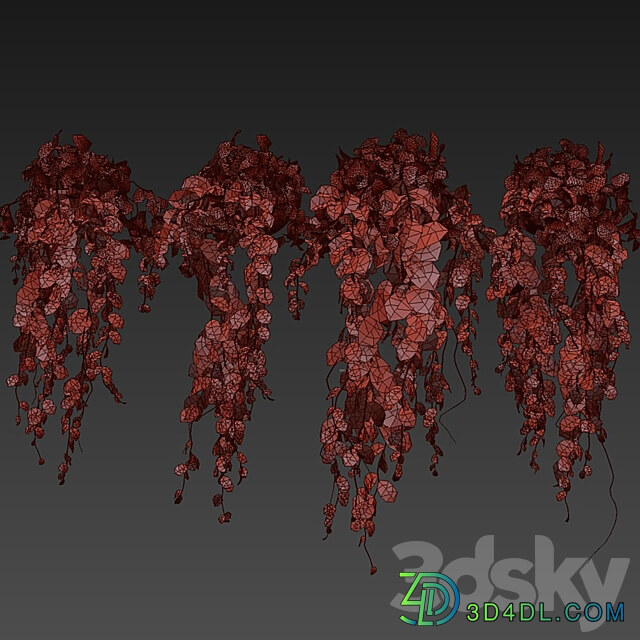 Collection plant vol 412 pothos hanging ampelous 3D Models