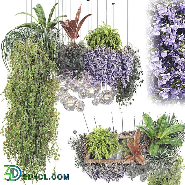 Hanging Plants Plant Collection Set 26