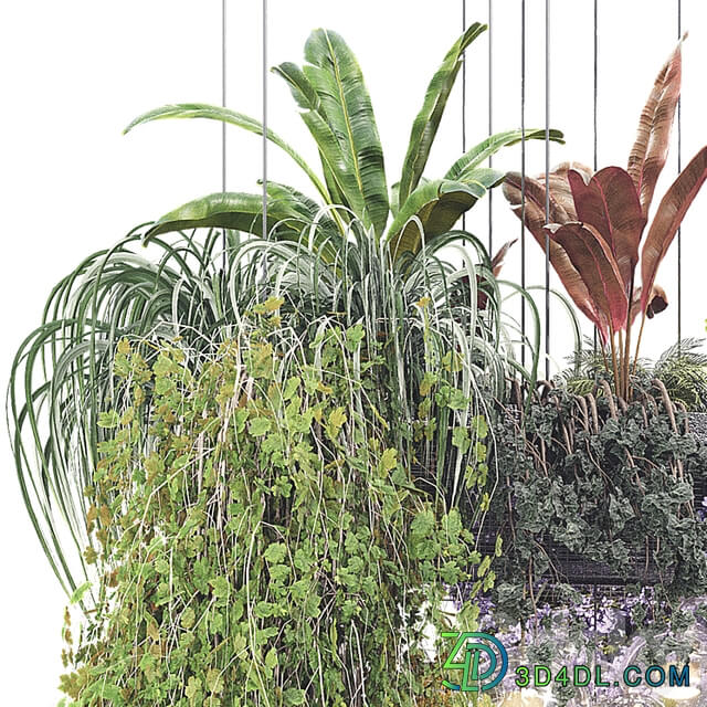 Hanging Plants Plant Collection Set 26