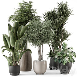 Indoor Plants in Ferm Living Bau Pot Large Set 1325 