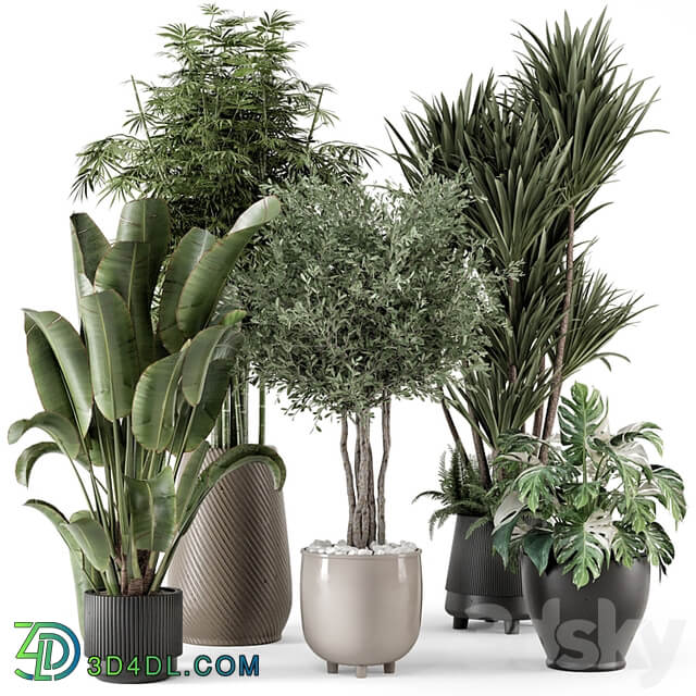 Indoor Plants in Ferm Living Bau Pot Large Set 1325