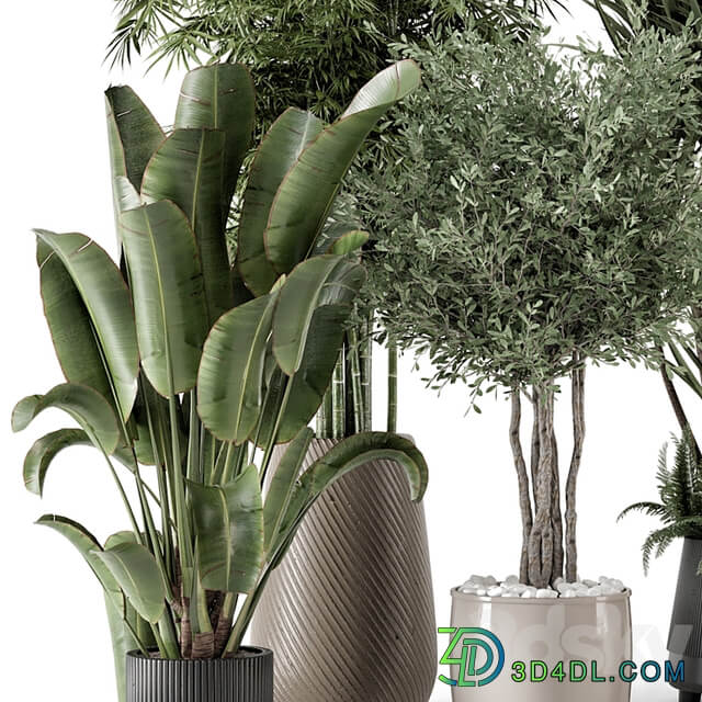 Indoor Plants in Ferm Living Bau Pot Large Set 1325