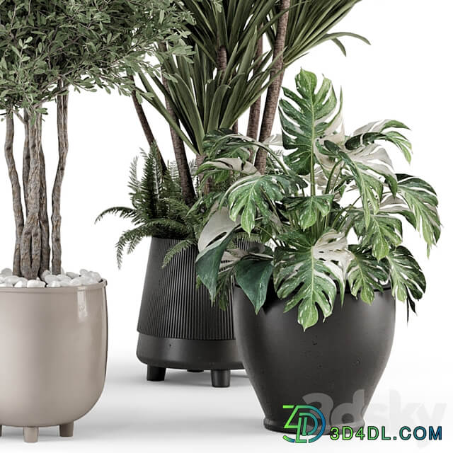 Indoor Plants in Ferm Living Bau Pot Large Set 1325