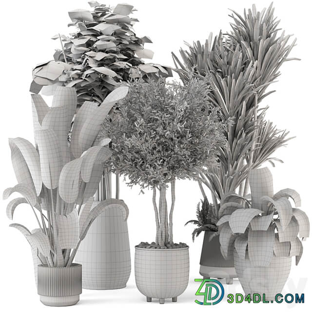 Indoor Plants in Ferm Living Bau Pot Large Set 1325