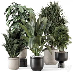 Indoor Plants in rusty Concrete Pot Set 1331 