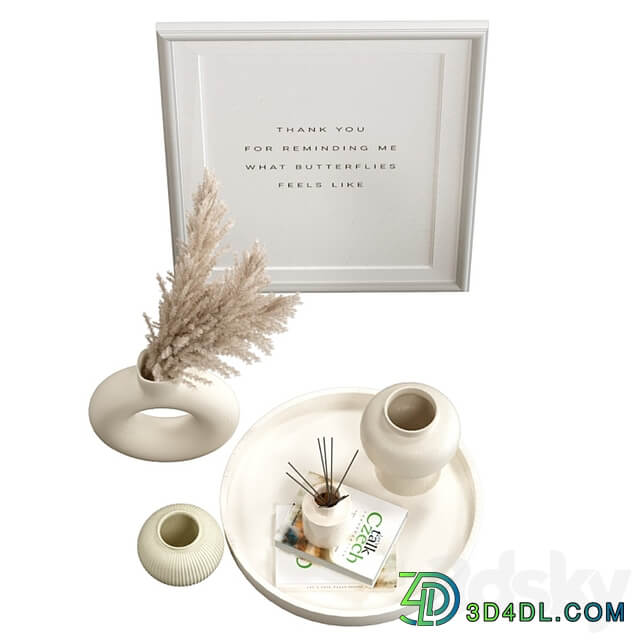 Decorative set of pampas