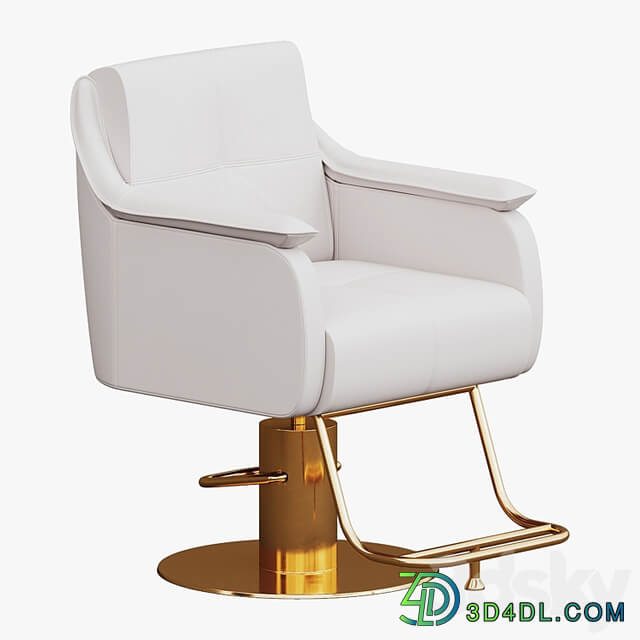 Chair for beauty salon Yoocell OC5139