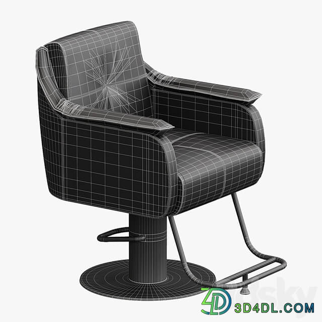 Chair for beauty salon Yoocell OC5139