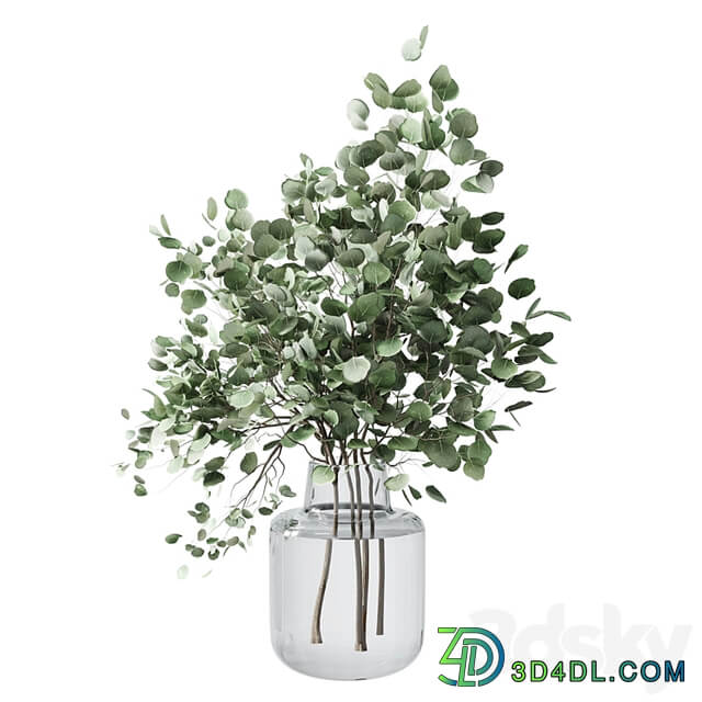 Collection Green Plants Bouquet Indoor 12