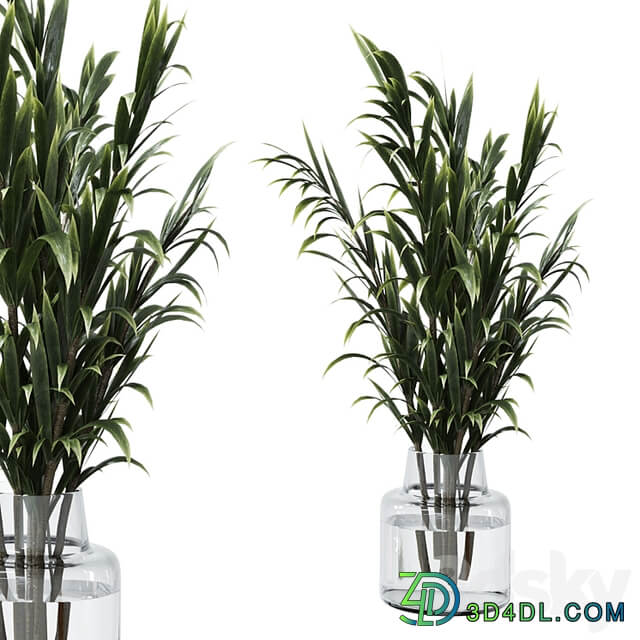 Collection Green Plants Bouquet Indoor 12