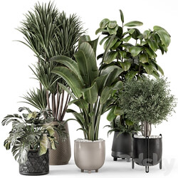 Indoor Plants in Ferm Living Bau Pot Large Set 1343 