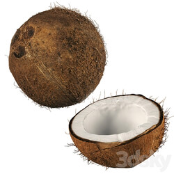 4k coconut 02 