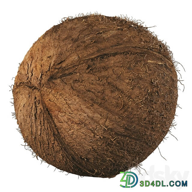 4k coconut 02