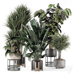 Indoor Plants in Ferm Living Bau Pot Large Set 1351 