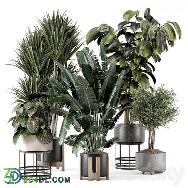 Indoor Plants in Ferm Living Bau Pot Large Set 1351