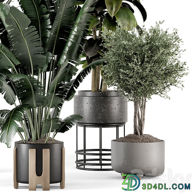 Indoor Plants in Ferm Living Bau Pot Large Set 1351