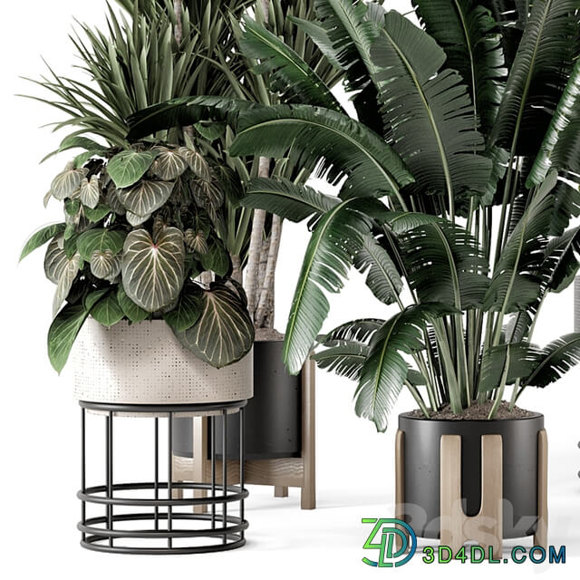 Indoor Plants in Ferm Living Bau Pot Large Set 1351