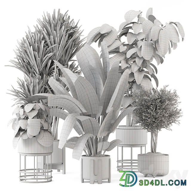 Indoor Plants in Ferm Living Bau Pot Large Set 1351