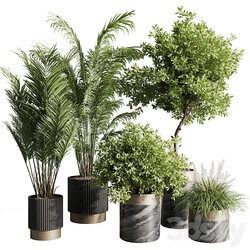 indoor plant set 57 