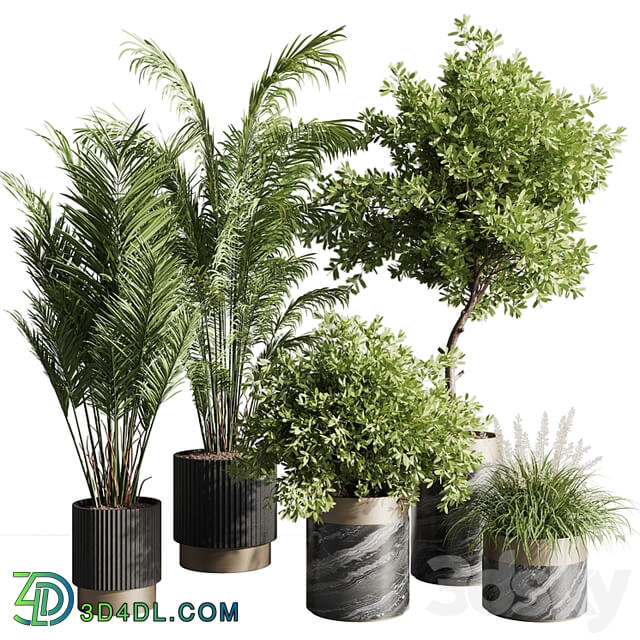 indoor plant set 57