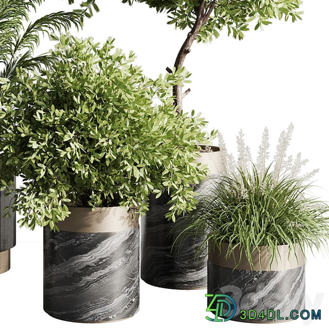 indoor plant set 57