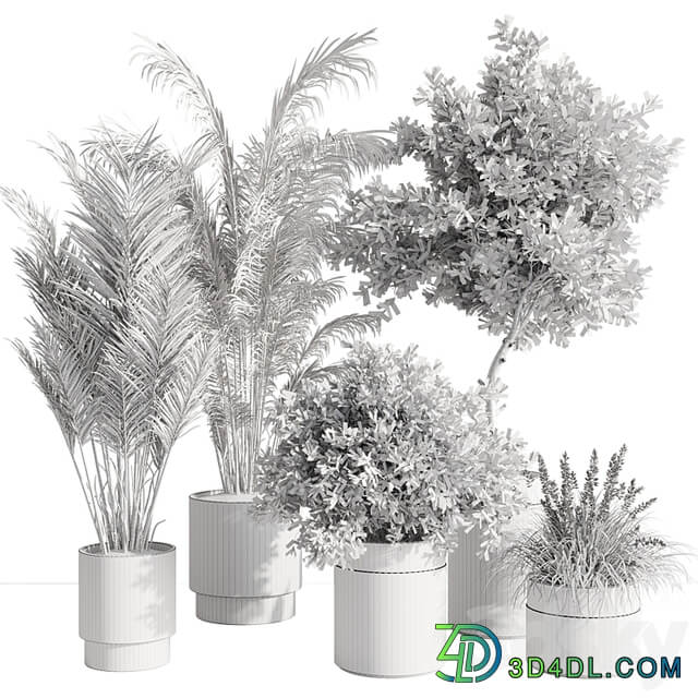 indoor plant set 57