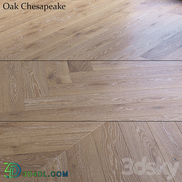 Oak Chesapeake