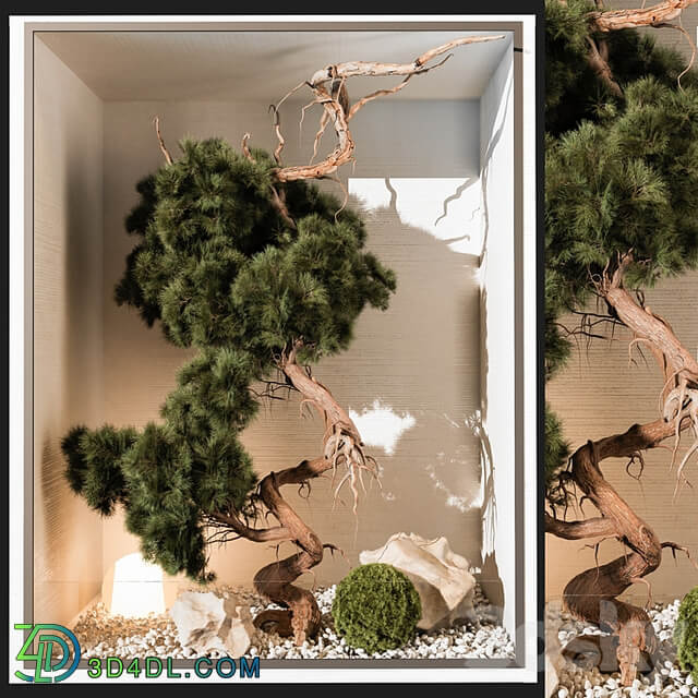 indoor Plant 252