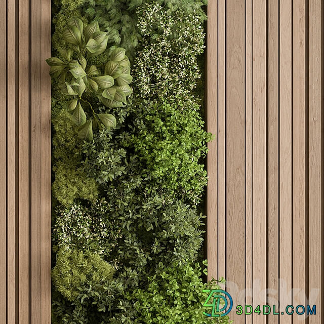 Vertical Garden Green Wall 74