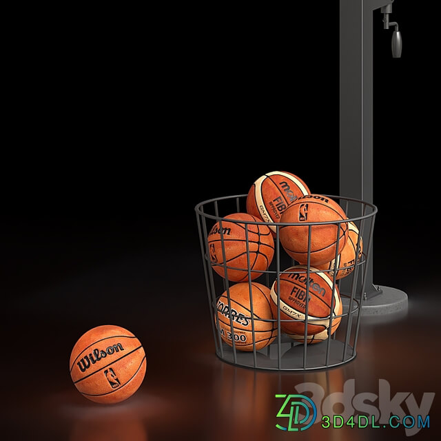 Basketball Hoop Goalrilla